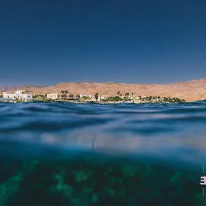 Dahab days